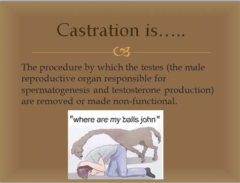 castration is love|Before, and 7 months after I was castrated : r/Castrations